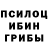 Галлюциногенные грибы мухоморы Rozaliya Shayhnurova