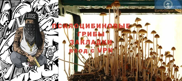 гашик Армянск