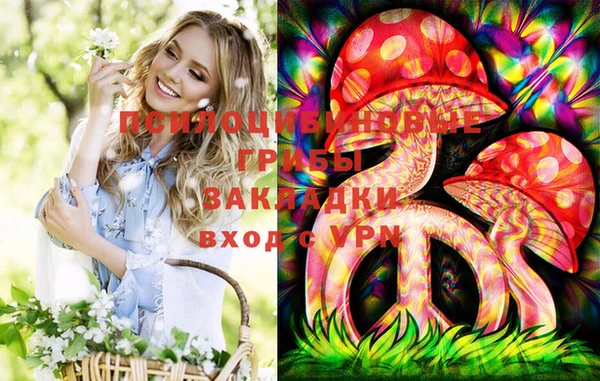 МДПВ Арсеньев