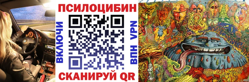 Псилоцибиновые грибы Psilocybine cubensis  Руза 
